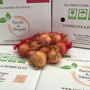 Cipolle Dorate da 2 kg