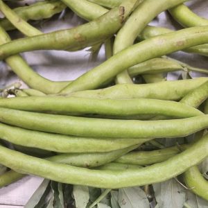 Fave Basilicata (Italia)