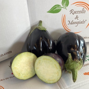 Melanzana imperfetta confezione da 10kg