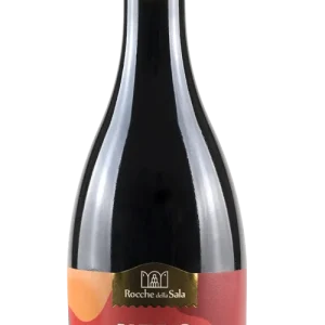 Nero D’avola Doc 2021 BIO 75cl – Rocche della Sala