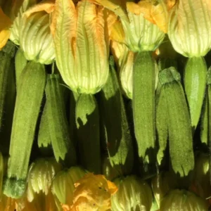 Zucchine con fiore