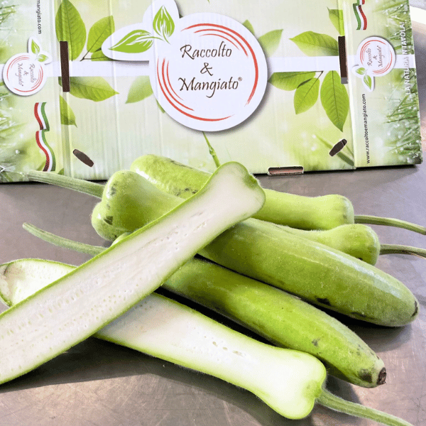 Zucchine di tenerumi da 1,3 kg circa
